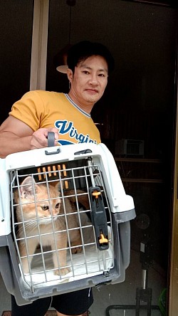 บริการรับส่งน้องแมวทั่วไทย